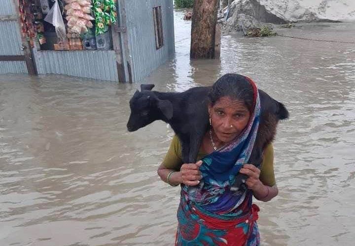 হাইমচরে অস্বাভাবিক জোয়ারের পানিতে বেরিবাঁধ ভাঙ্গন, হাইমচর উপজেলা সহ সেচ এলাকা পানিতে তলিয়ে গেছে