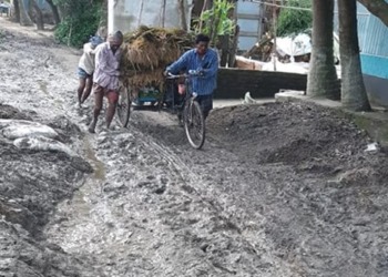 বাকেরগঞ্জ নিয়ামতি রাস্তা মেরামতের জোর দাবি এলাকাবাসী