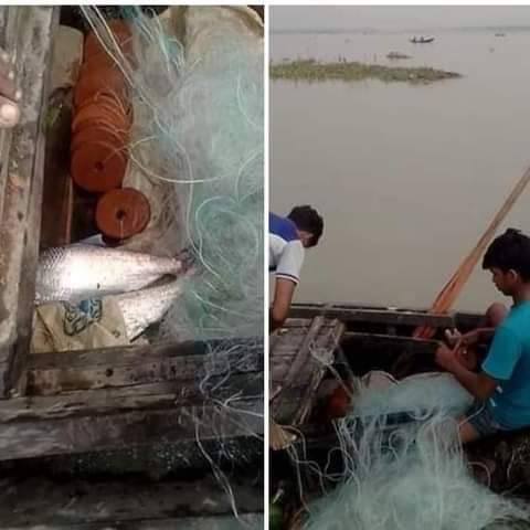 বরিশাল জেলে পরিবারের চলছে মা ইলিশ দরার ঈদ উৎসব