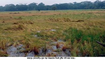 জাওয়াদের প্রভাবে ফসলের ব্যাপক ক্ষয়-ক্ষতির আশঙ্কা